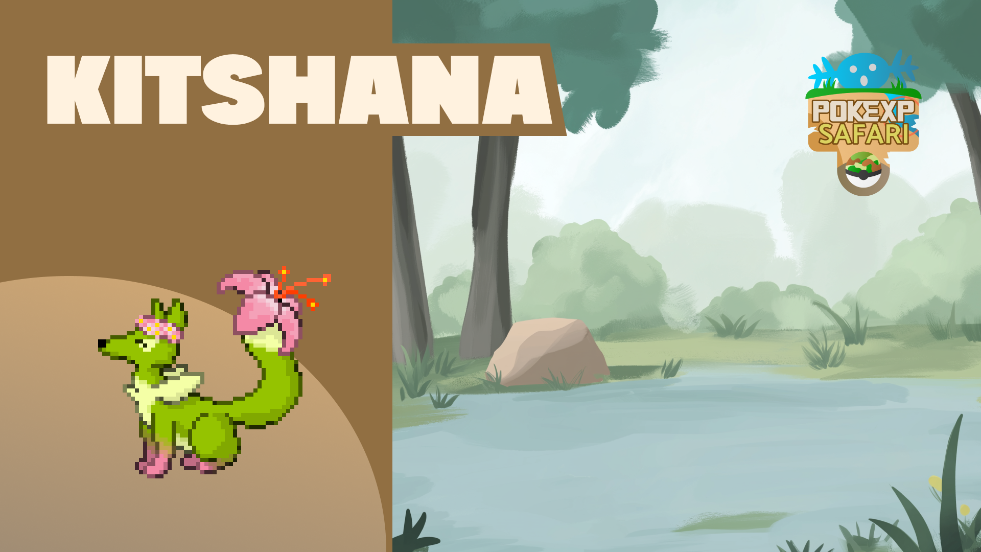Safari - Kitshana 2025
